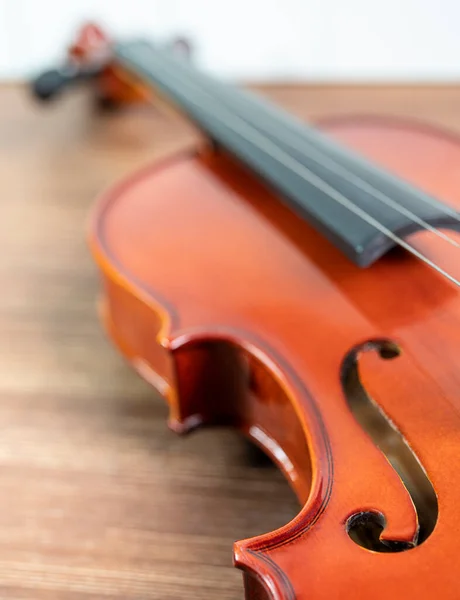 배경의 바이올린 — 스톡 사진