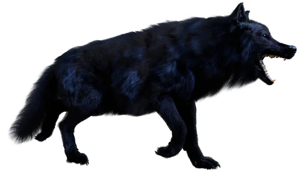 Rendering Black White Wolf — Stock Photo, Image