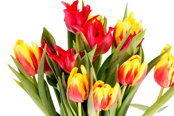 Bouquet Fleurs Printanières Colorées Tulipes Isolées Sur Fond Blanc Gros — Photo