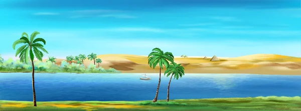 Güneşli Bir Yaz Gününde Mısır Nil Nehrinin Kıyısında Palmiye Ağaçları — Stok fotoğraf