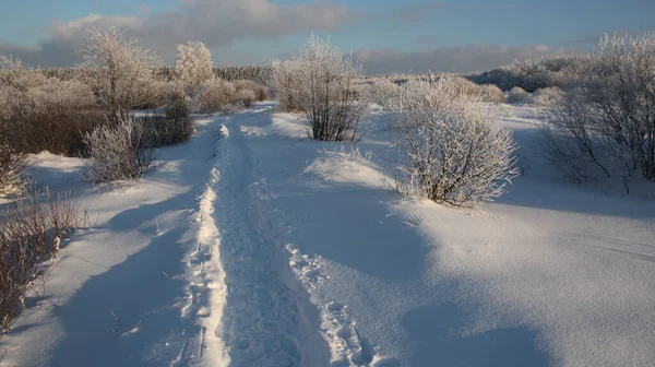 Paisagem Inverno Com Árvores Cobertas Neve — Fotografia de Stock