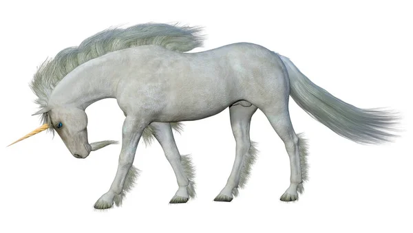 Рендеринг Белой Лошади Обычном Фоне — стоковое фото
