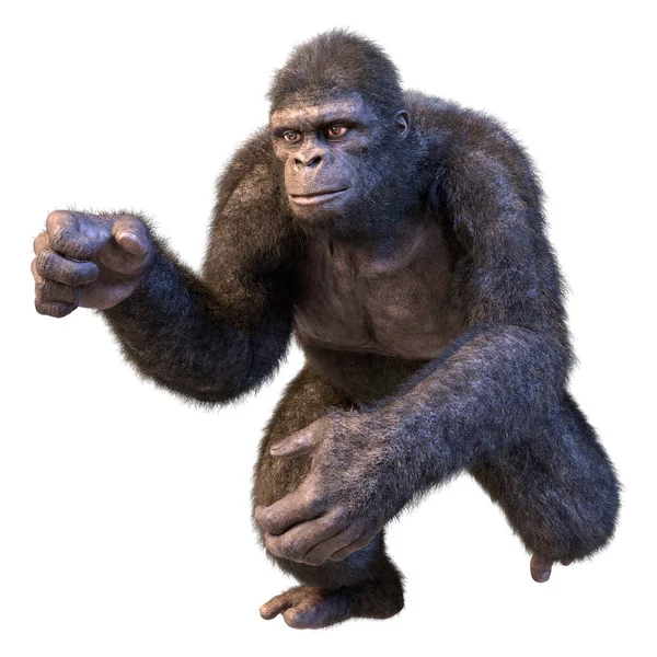 Schwarzer Gorilla Isoliert Auf Weißem Hintergrund — Stockfoto