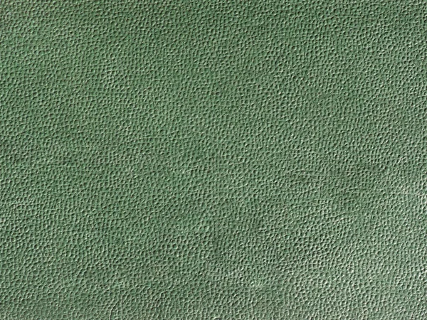 Texture Cuir Vert Fond — Photo