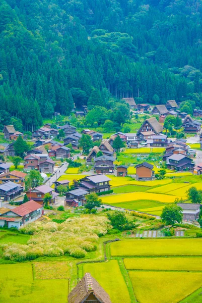 山中村庄的美丽风景 — 图库照片