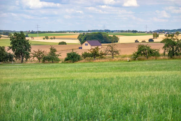 Paisagem Rural Com Grama Verde Céu Azul — Fotografia de Stock