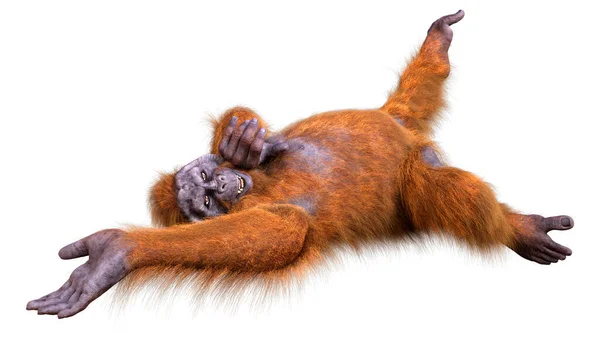 Återgivning Söt Orangutang — Stockfoto