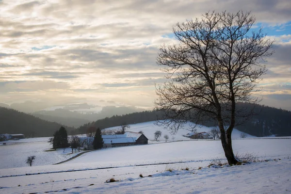 Verschneite Landschaft Den Hügeln Niederösterreichs — Stockfoto