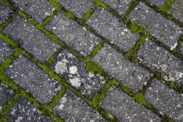 Textura Pavimento Pedra Com Rachaduras Sombras — Fotografia de Stock