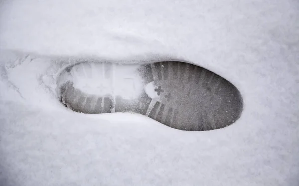 Fundo Inverno Com Neve Pele Branca — Fotografia de Stock