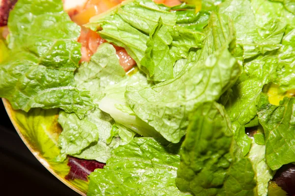 Frischer Salat Aus Römersalat Und Tomatenwürfeln — Stockfoto