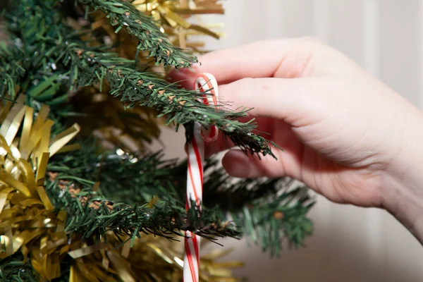 Frau Verziert Künstlichen Weihnachtsbaum Mit Zuckerrohr Über Goldenem Lametta — Stockfoto