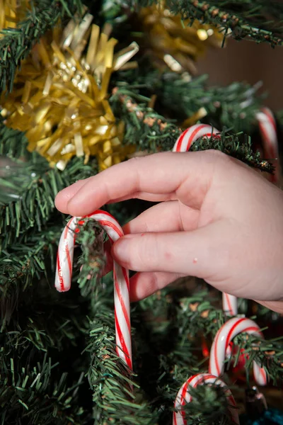 Woman Adding Candy Canes Artificial Christmas Tree Golden Tinsel — Stock Photo, Image