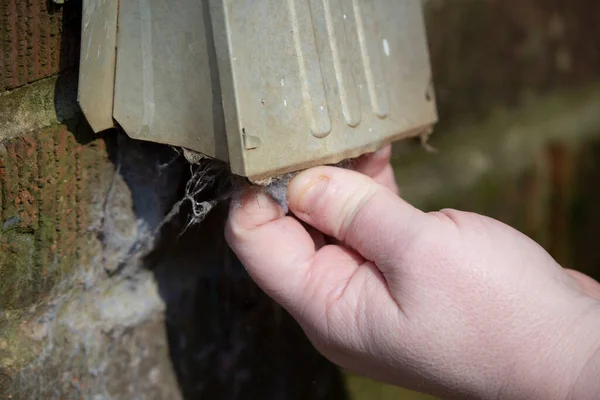 Vrouw Schoonmaken Van Pluis Van Een Droger Uitlaat Buiten — Stockfoto