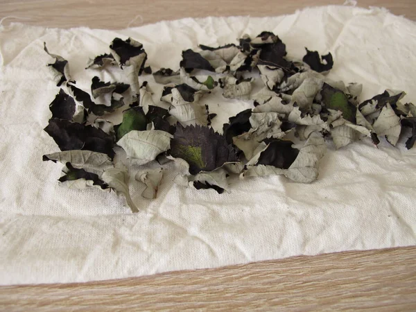 Сушеные Листья Ежевики Домашнего Черного Чая — стоковое фото