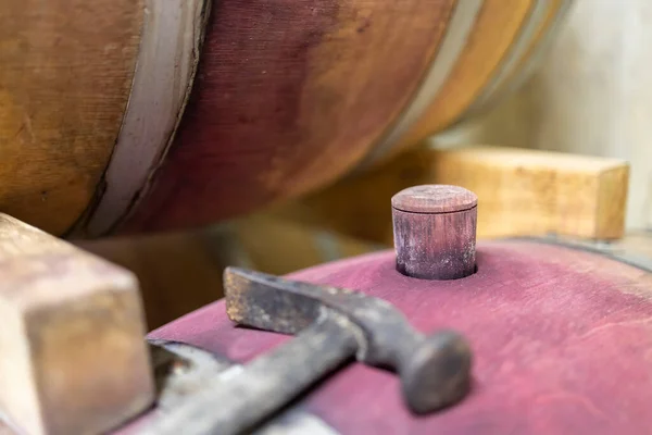 Wooden Oak Barrels Winery Nearby Batorove Kosihy Slovakia — Stock Photo, Image