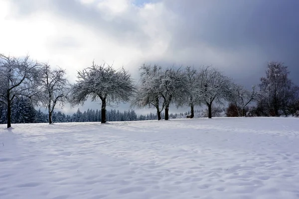 Karla Kaplı Ağaçlarla Kaplı Güzel Kış Manzarası — Stok fotoğraf