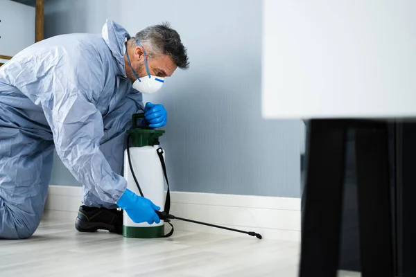 Exterminador Controle Pragas Homem Pulverizando Pesticida Térmita Escritório — Fotografia de Stock