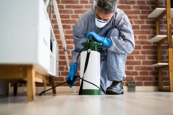 Ongediertebestrijding Verdelgingsdiensten Spuiten Termiet Insecticide — Stockfoto