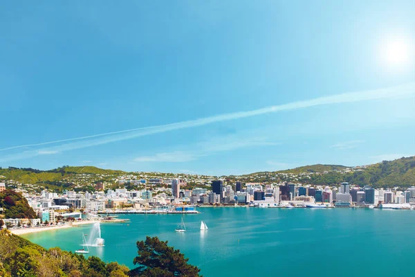 Wellington Nouvelle Zélande Vue Sur Ville Pendant Été Mont Victoria — Photo