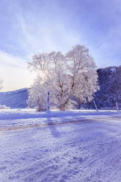 Idyllische Winterlandschaft Verschneite Bäume Und Felder Bergkette Hintergrund — Stockfoto
