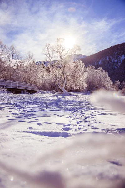 Paisaje Idílico Invierno Puente Madera Árboles Nevados Cordillera Fondo — Foto de Stock