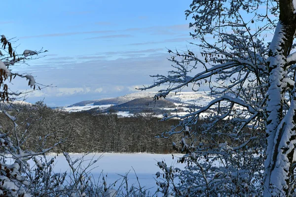 Winter Landscape Snow Covered Trees — Stock Photo, Image