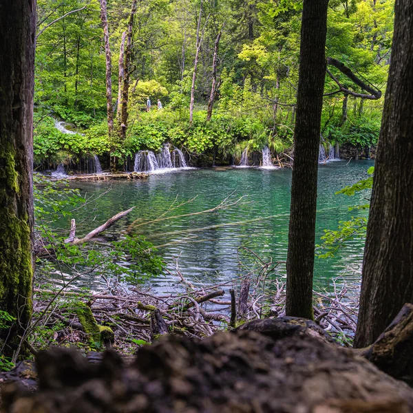 Néhány Turista Városnézés Gyönyörű Vízesések Tavak Zöld Buja Erdő Plitvicei — Stock Fotó