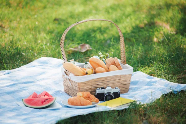 Picknickkorb Mit Brot Und Obst Ukulele Eine Retro Kamera Auf — Stockfoto