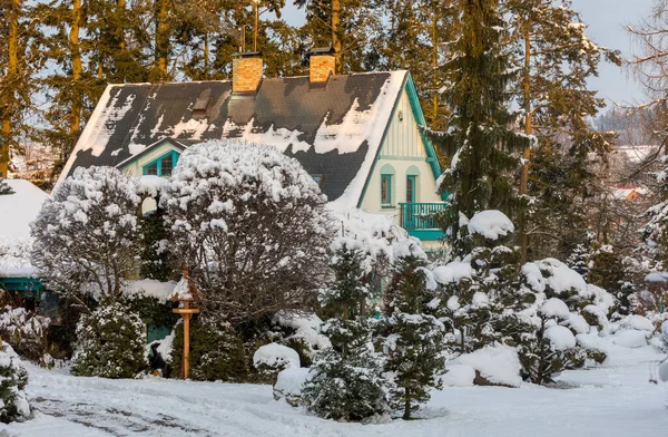 Bauernhaus Immergrünen Wintergarten Mit Nadelbäumen Die Von Neuschnee Bedeckt Sind — Stockfoto