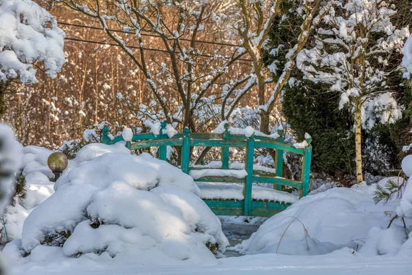 Зимний Сад Небольшим Деревянным Мостиком Деревьями Покрытыми Свежим Снегом — стоковое фото