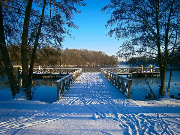 Bellissimo Paesaggio Invernale Con Neve Alberi — Foto Stock