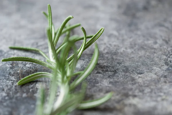 Close Rosemary Aromatic Herb Food Background — Stock Photo, Image