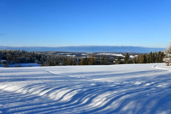 Winter Landscape Snow Covered Trees — Stock Photo, Image