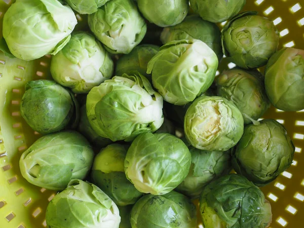 Coles Bruselas Col Verduras Comida Vegetariana Nombre Científico Brassica Oleracea —  Fotos de Stock