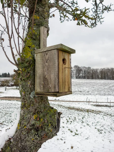 Alimentador Pássaros Parque Inverno — Fotografia de Stock