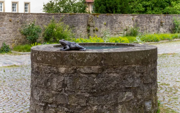 金属製のカエルの彫刻は 夏の時間にドイツ南部のホーエンローエに位置する学校修道院で井戸にあります — ストック写真