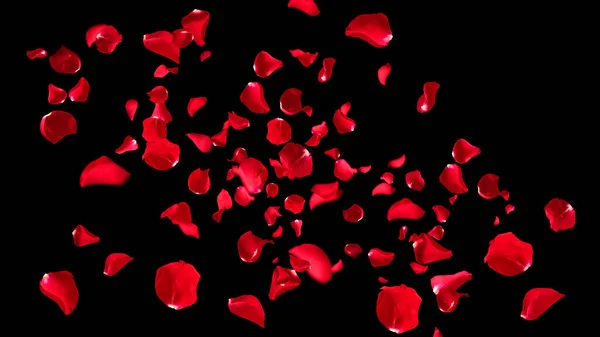 Lebegő Vörös Rózsaszirmok Elszigetelt Animáció Fekete Háttérrel Romantikus Koncepció Szerelem — Stock Fotó