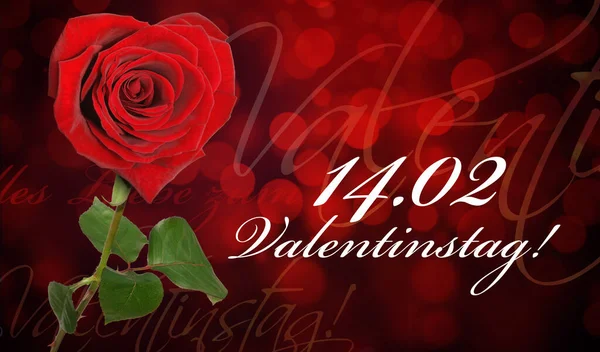 Rose Rosse Con Simbolo Del Cuore Uno Sfondo Bellissimo Fiore — Foto Stock