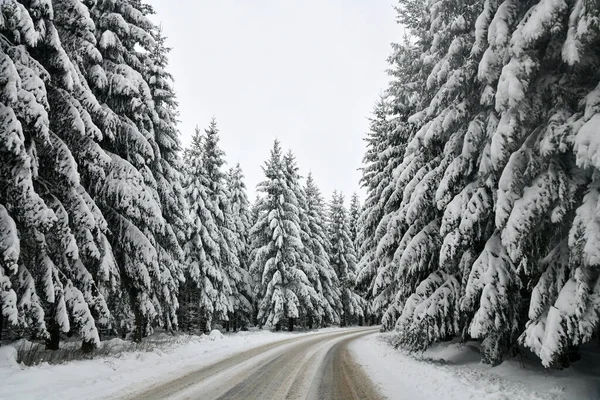 Bosque Invierno Con Árboles Cubiertos Nieve — Foto de Stock