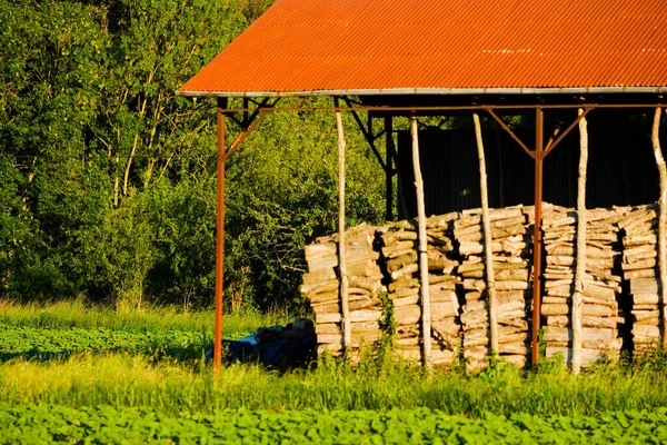 Wooden House Forest — Stock Photo, Image