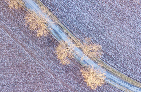 Winter Road Landscape Covered Morning Frost Top Aerial View Landscape — Stock Photo, Image