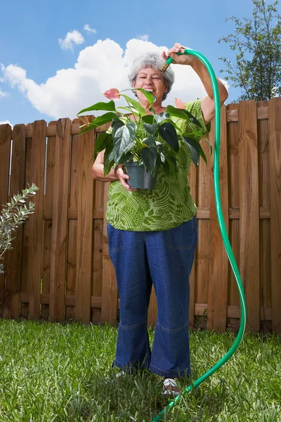 Mujer Mayor Regando Plantas Jardín — Foto de Stock