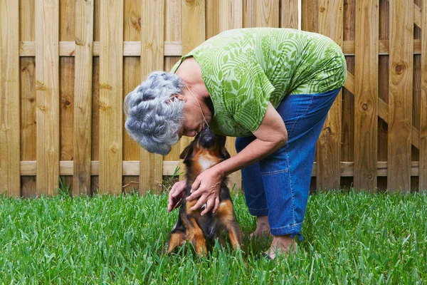 Cão Com Uma Cesta Pão — Fotografia de Stock