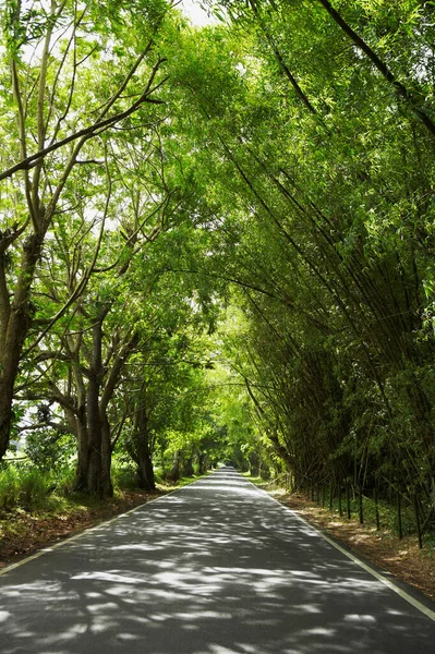 Straße Park — Stockfoto