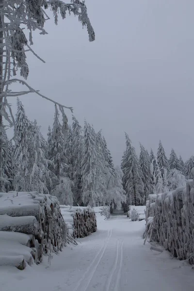 Zimowy Las Górach — Zdjęcie stockowe