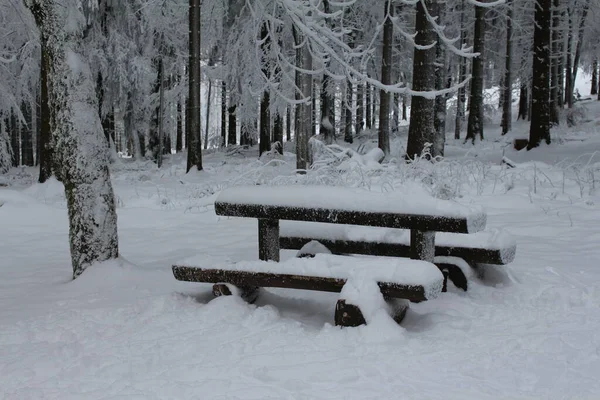 Place Rest Thuringian Forest — Stock Photo, Image