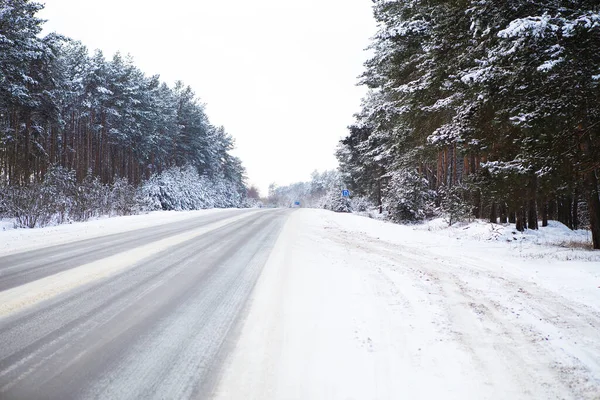 Snöig Gata Omgiven Tallar Vinterväg Skogen Frysdag — Stockfoto