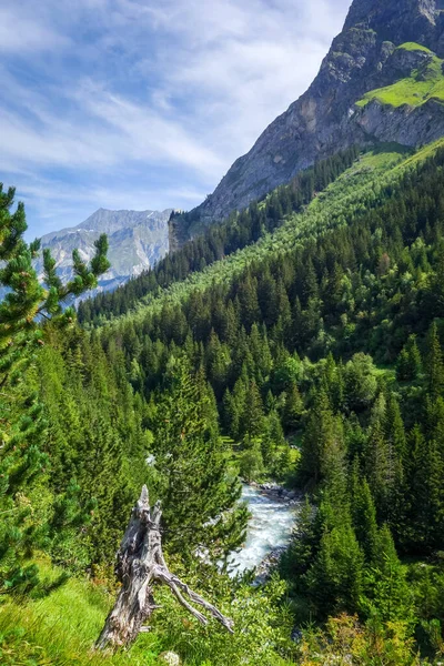 Rio Doron Parque Nacional Vanoise Vale Alpino Savoie Alpes Franceses — Fotografia de Stock