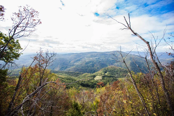 Hermosa Vista Del Paisaje Montaña Naturaleza Ovcar Kablar Gorge Western — Foto de Stock